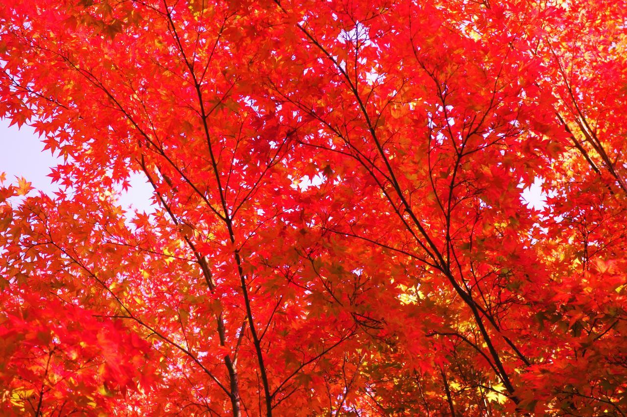 Kishutetsudo Karuizawa Hotel Tsumagoi Esterno foto